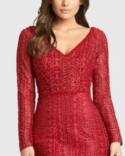 Embroidered Long Sleeve V Neck Trumpet Gown -Fashion Dress Shop 265 20271D Burgundy CL