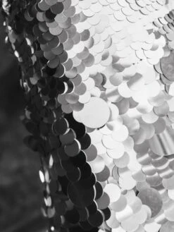 Sleeveless Disc Sequin Trapeze Mini Dress -Fashion Dress Shop lifestyle 5961 silver 3 scaled